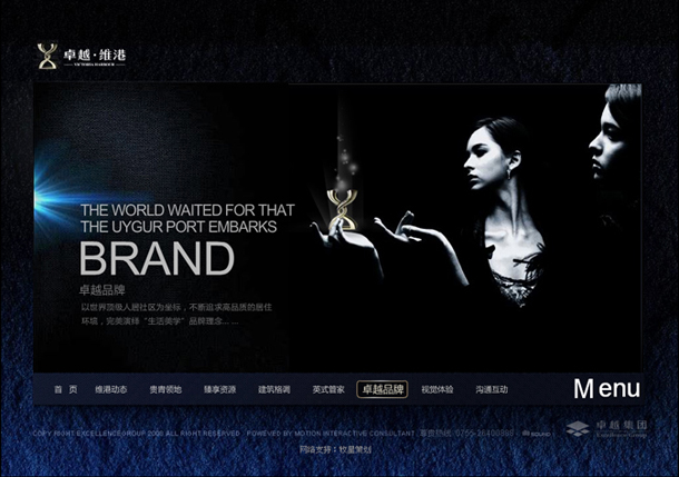 卓越维港项目网站 卓越品牌